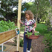 Picture 031